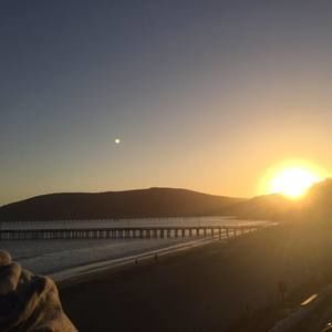 Meet your Posher, Jinu